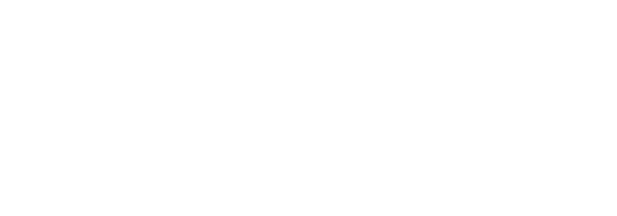 Logo Netboost 31 tranparent blanc strech largeur