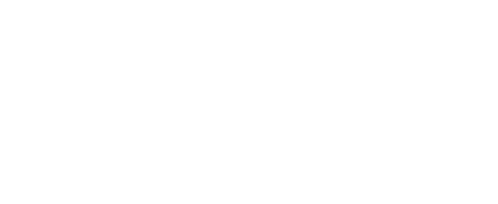 Logo Netboost 31 tranparent blanc